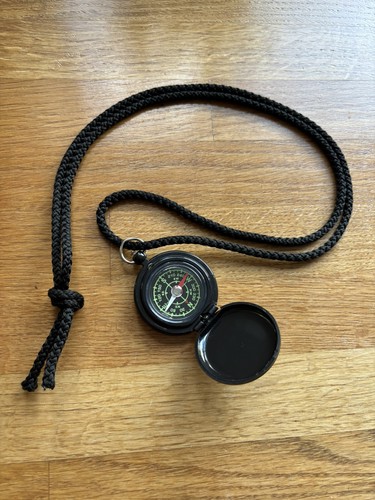 Hinged pop open pocket compass - hinged, pop-open
